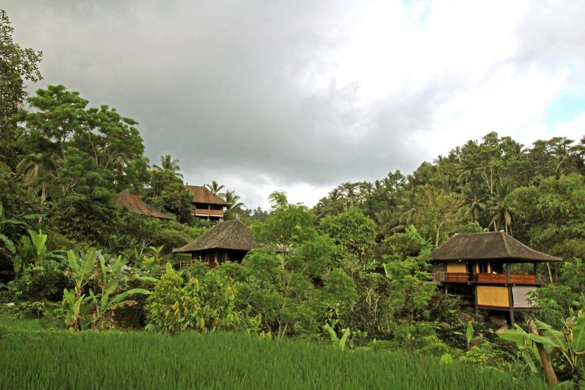 บาหลี อีโค่ สเตย์ Hotel Bali ภายนอก รูปภาพ